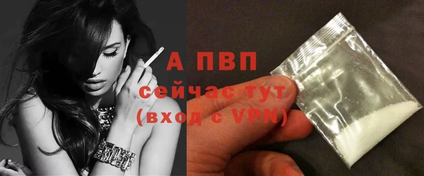 ECSTASY Бронницы