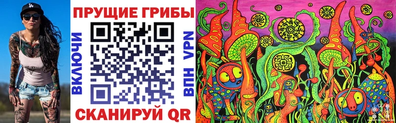 хочу   Кувшиново  MEGA tor  Псилоцибиновые грибы Psilocybine cubensis 