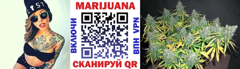 Каннабис гибрид  Кувшиново 